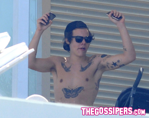 Harry Styles Mette In Mostra I Tatuaggi | Gossip 396_x_500_jpg