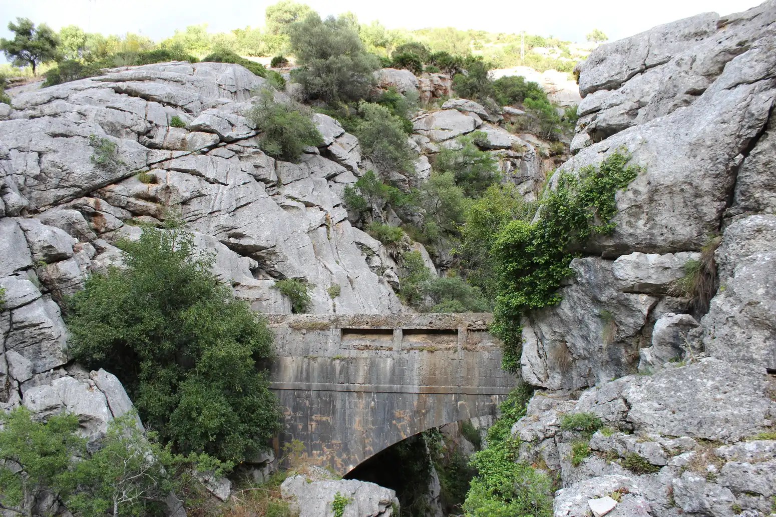 Hombre Ciego Cae 60 Metros en Sendero de Gaucín, Málaga
