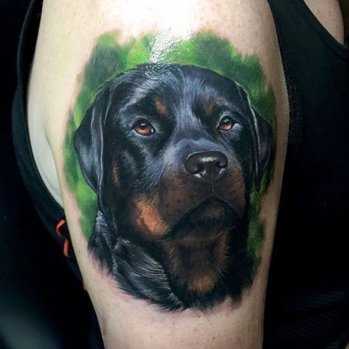 The 35+ Best Rottweiler Tattoo Designs In The World - The Paws 1200_x_1200_jpg