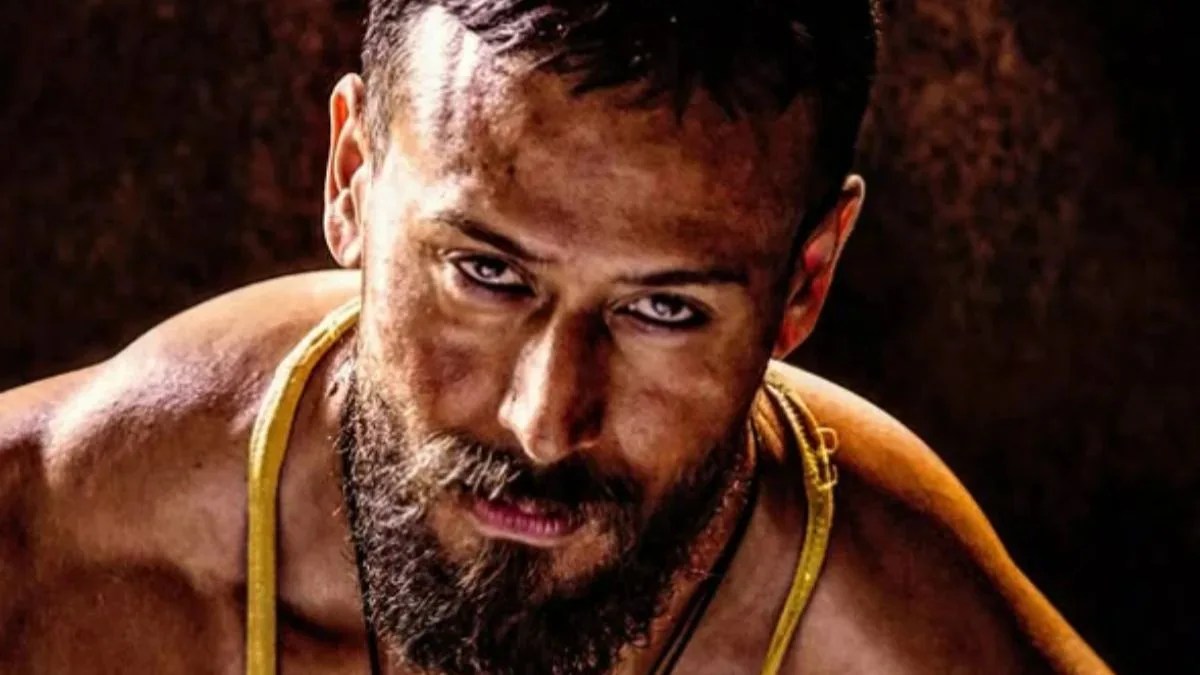 Baaghi 4, other releases and the rest of the box office