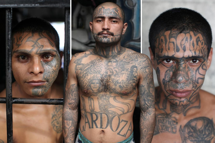 Powerful Images Capture The Heavily Tattooed Members Of El Salvador's Brutal Ms-13 Gang Caged In One Of Central America's Most Terrifying Prisons 500_x_750_jpg
