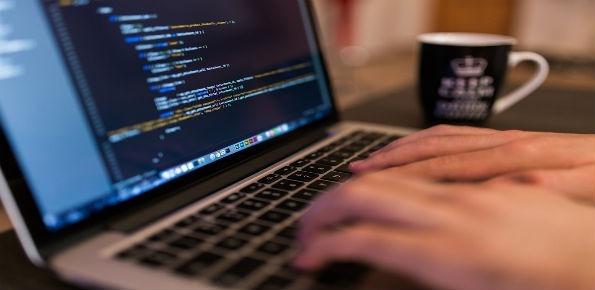 Zucchetti: Corso Gratuito Web Developer, Vivaio Dei Talenti 290_x_595_jpg