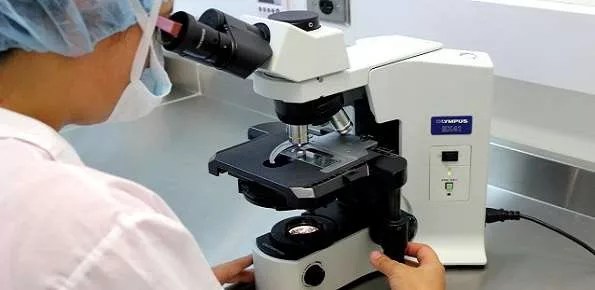 Bioparco Aaa: 40 Assunzioni Con Ampliamento - Ticonsiglio