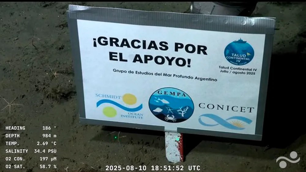 “Gracias por el apoyo”, el mensaje de los científicos del Conicet desde el fondo del mar que emocionó a todos