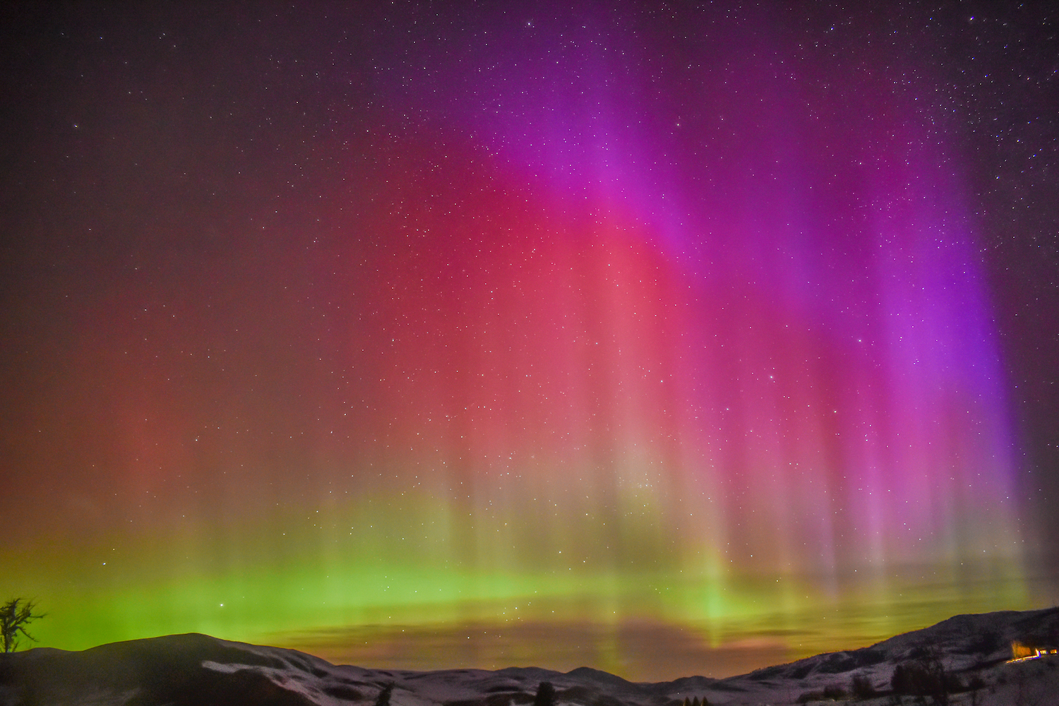 Northern lights webcam iceland