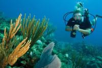 Diving excursions Turtle Island Fiji