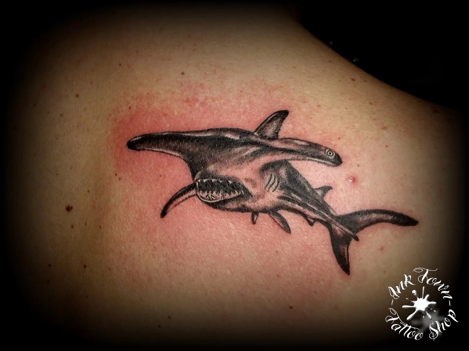 Squalo Martello - Tuttotattoo.com 1200_x_1600_jpg