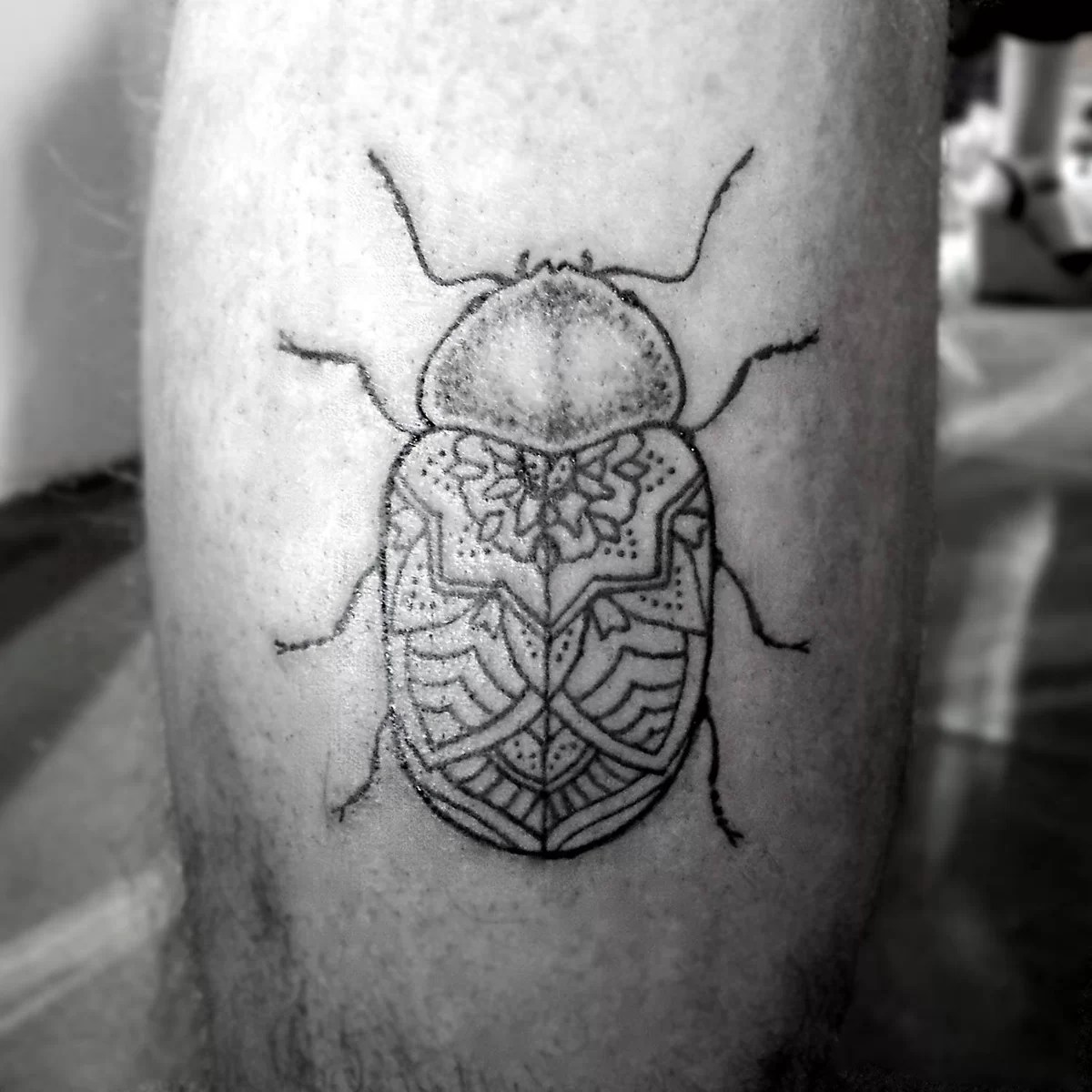 Scarabeo - Tuttotattoo.com 1200_x_1200_jpg
