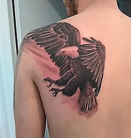 Aquila - Tuttotattoo.com 480_x_457_jpg