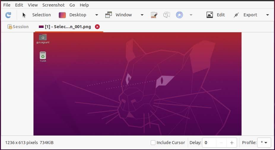 Screenshot Tools For Ubuntu – How To Install And Use? 22 Screenshot tools for ubuntu – how to install and use? 18