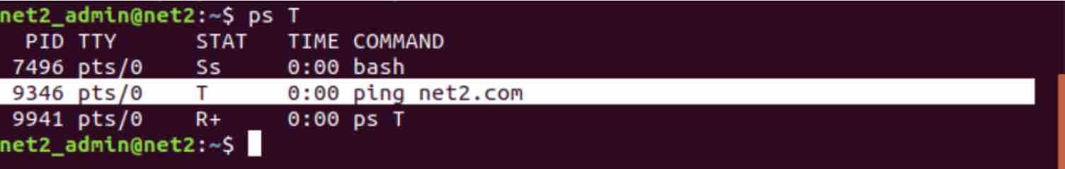 Linux Processes: A Beginner’s Guide To Understanding &Amp; Management 7 Ps t command output - process list for current terminal
