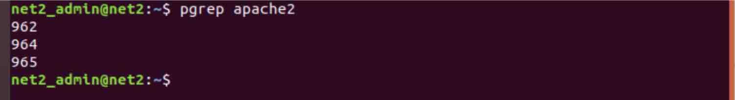 Linux Processes: A Beginner’s Guide To Understanding &Amp; Management 20 Pgrep command output - process lookup by name