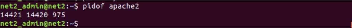 How To Kill Processes In Linux: Beginner-Friendly Guide To Command Line Termination 3 Pidof apache2 command output - pids only