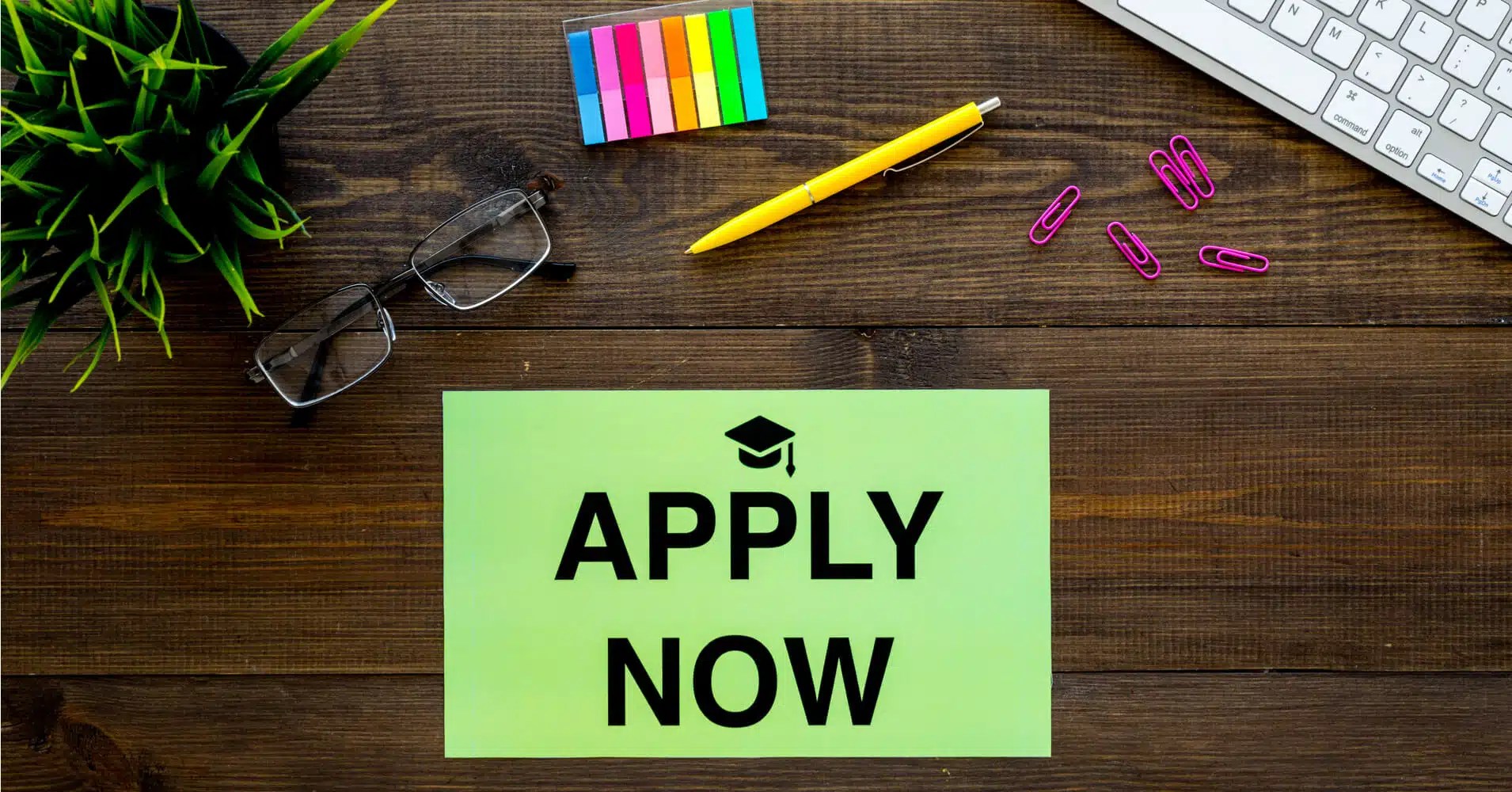 Navigating Global Trade: A Comprehensive Guide to Applying for Import and Export Licenses