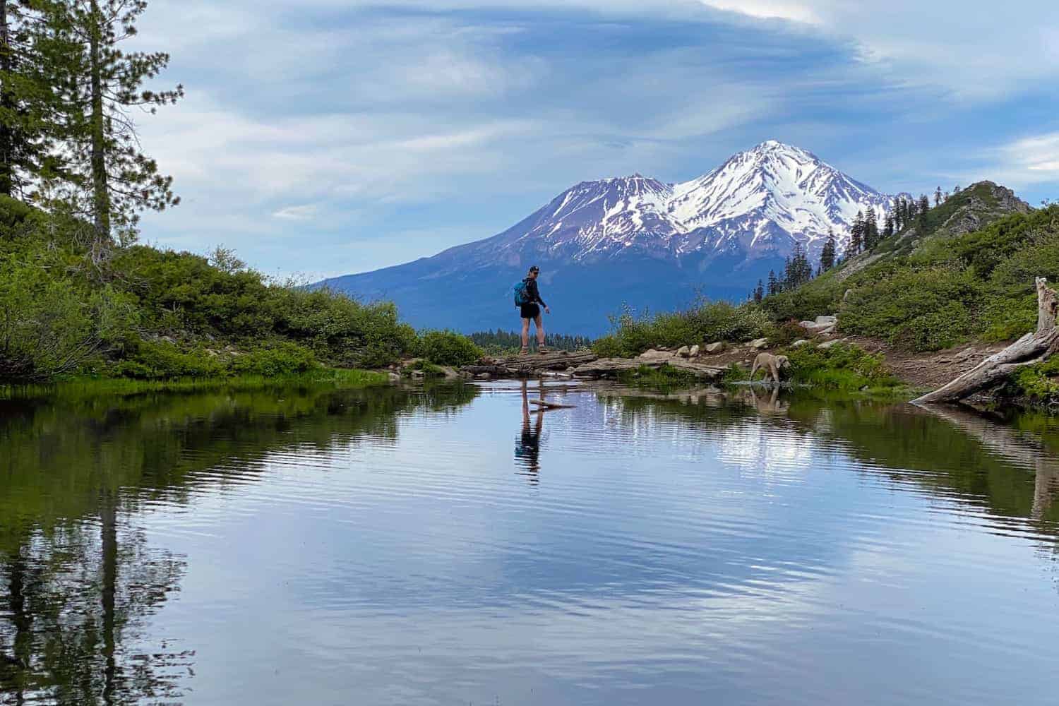 The 11 Best Things to Do in Mount Shasta for a Weekend Trip Mt shasta hot springs