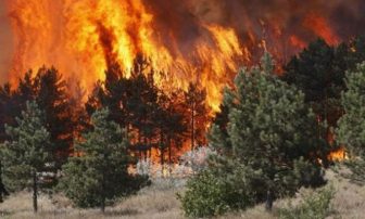Zjarret në vend, Ministria e Mbrojtjes: Terreni vështirëson shuarjen e flakëve në Malin e Thatë, 11 vatra aktive