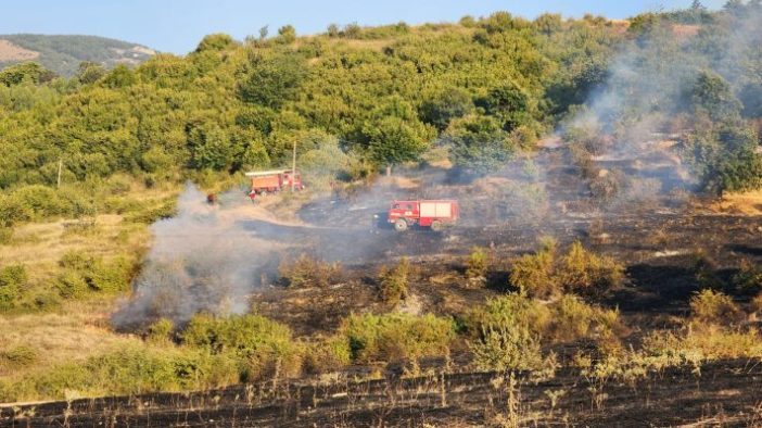 Zjarr në kodrat e qytetit të Korçës, rrezikohen banesa