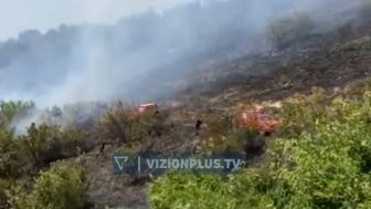 Zjarr i qëllimshëm në Dimal, flakët favorizohen nga era, zjarrfikësit në vendngjarje