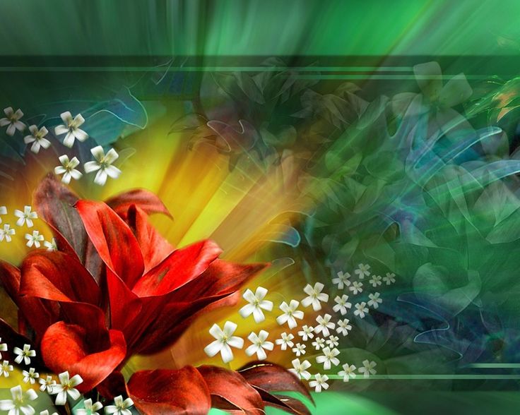 Animated Wallpaper Download Painting Flower Plant Art Acrylic Paint 133880 Wallpaperuse