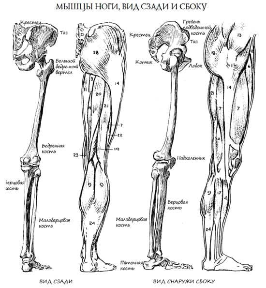как правильно рисовать стопы