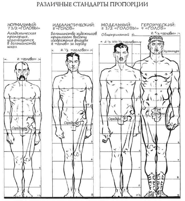 как нарисовать красивую фигуру девушки