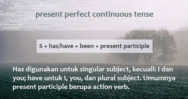 Present Perfect Continuous Tense: Pengertian, Rumus, Contoh Kalimat