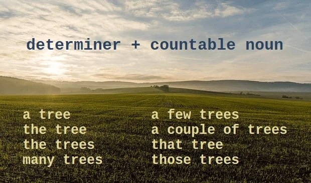 Countable Noun: Pengertian dan Contoh Kalimat - Materi Bahasa Inggris