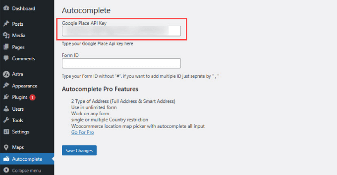 Google Place API Key Google Place API Key