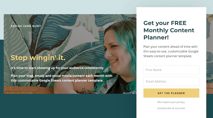 How to capture leads on your WordPress blog, website, or online store How to capture leads on your WordPress blog, website, or online store