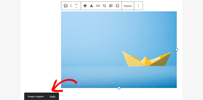 Success notices when images are edited Success notices when images are edited