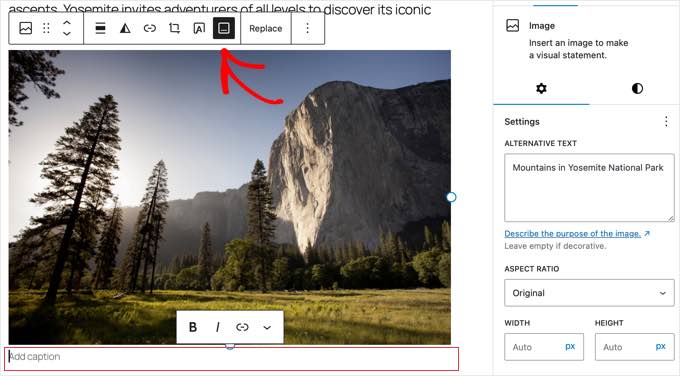 The Image Caption Is Displayed on the Lightbox The Image Caption Is Displayed on the Lightbox