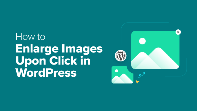 how-to-enlarge-images-upon-click-in-wordpress-in-post How to enlarge images upon click in WordPress in post