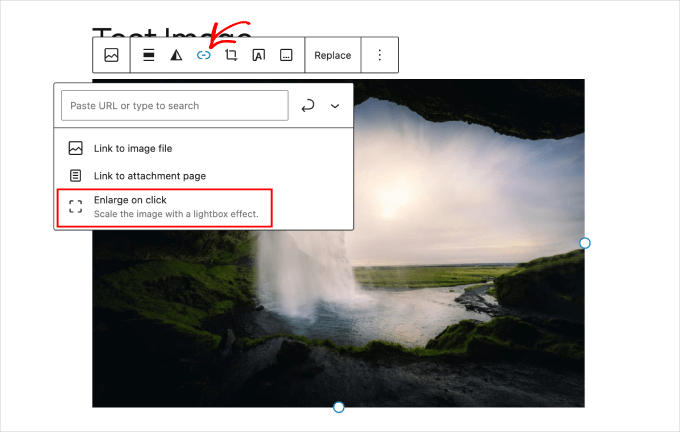 wp-block-editor-image-expand-on-click-option WP Block Editor image expand on click option