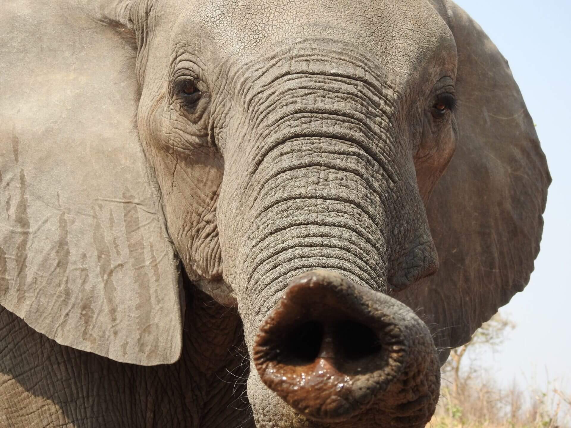 Lavora Con Noi | Tutte Le Posizioni Aperte | Wwf Italia 1440_x_1920_jpg