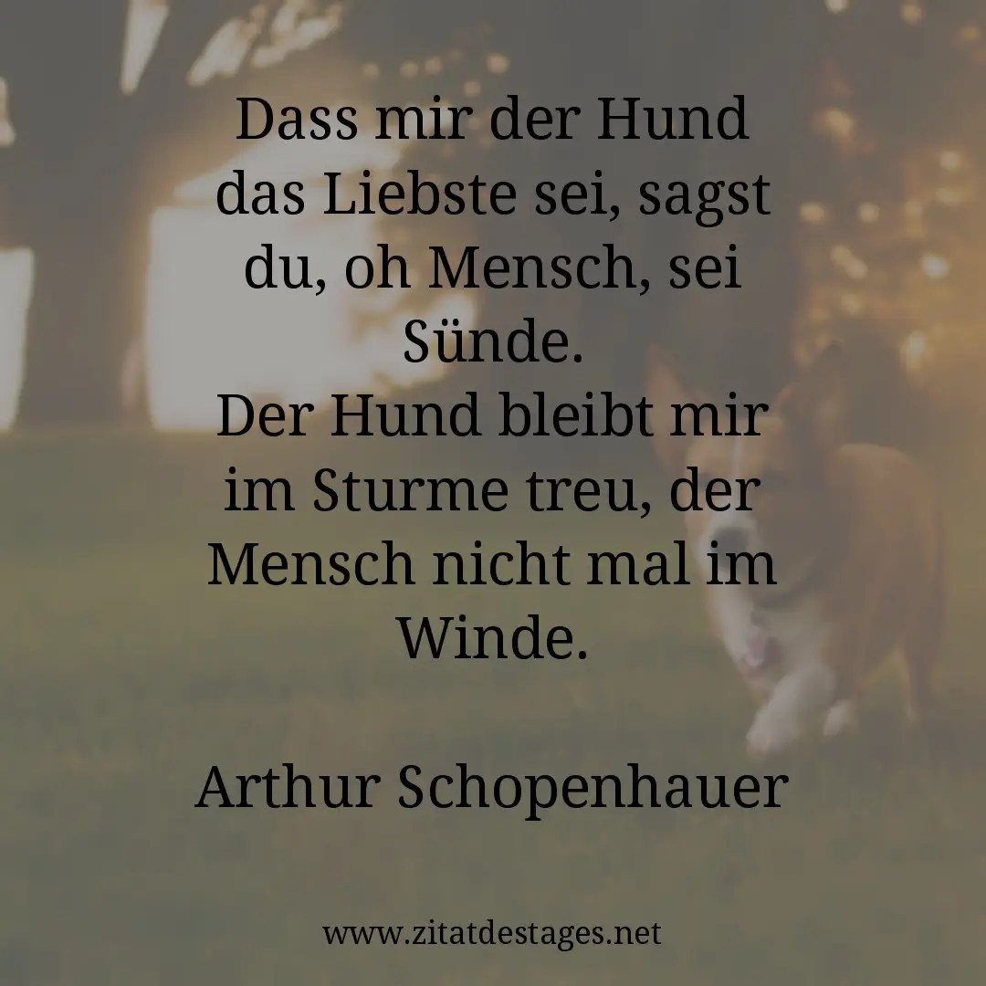 Zitat Des Tages Vom 10 10 2020 Zitat Des Tages