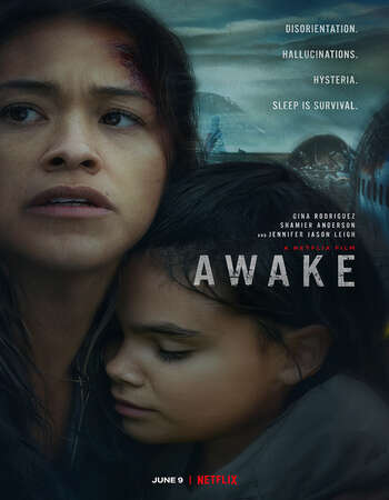 Awake (2021) Subtitles