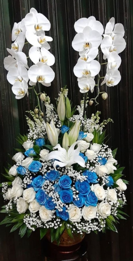 KODE = SRF : 188 - Xtra Florist