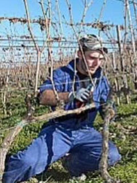Cupramontana - Candidati In Cerca Di Lavoro - Xtutti.com - Operaio Agricolo - Ancona Casa, Auto, Moto, Personali, Offerte Di Lavoro 480_x_640_jpg