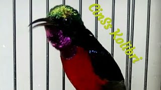 Playtube.pk | Ultimate Video Sharing Website 180_X_320_jpg