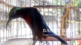 Playtube.pk | Ultimate Video Sharing Website 180_X_320_jpg
