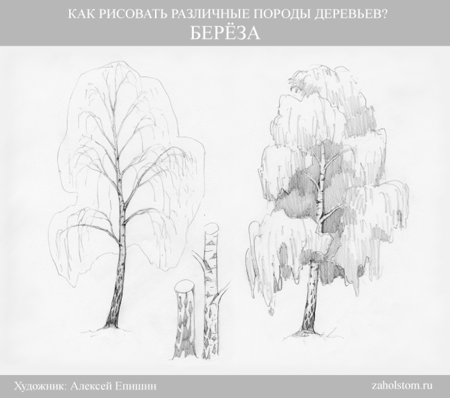 как нарисовать зеленое дерево