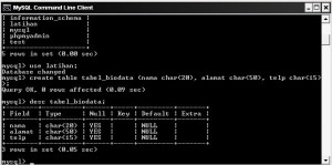 MySQL Membuat Database dan Table - Sistem Knowledge Management TIK